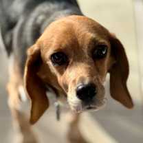 Thumbnail photo of Lady #2