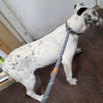 Thumbnail photo of 59991813 #2