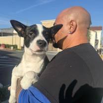 Thumbnail photo of Hannah #4