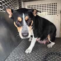 Thumbnail photo of Nike #1