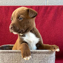 Thumbnail photo of Milion #2