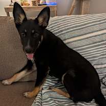 Thumbnail photo of Holly #1