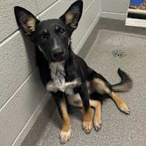 Thumbnail photo of Holly #2