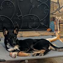 Thumbnail photo of Holly #3