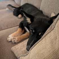 Thumbnail photo of Holly #4