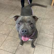 Thumbnail photo of Tilda #4