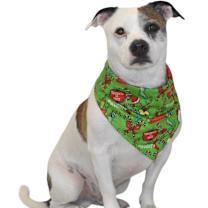 Thumbnail photo of Sam #3