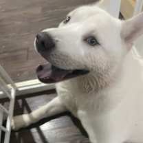 Thumbnail photo of Legend #2