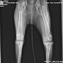 Thumbnail photo of Atlas #4