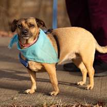 Thumbnail photo of Jazzy #1