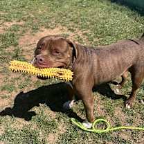 Thumbnail photo of Mellow #1