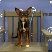 Thumbnail photo of JODIE #3