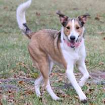 Thumbnail photo of Mia and Milo #3