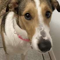 Thumbnail photo of Mia and Milo #4