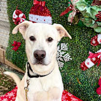 Thumbnail photo of Autumn Equinox #2