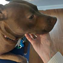 Thumbnail photo of Emma #1