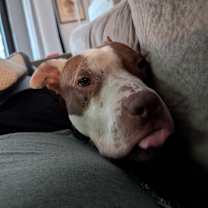 Thumbnail photo of Princess Muttercup #4