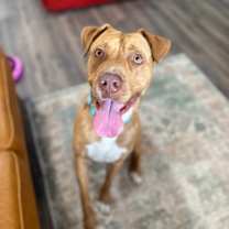 Thumbnail photo of Kayne lovely #1