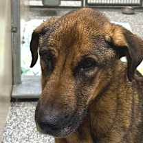 Thumbnail photo of Nova #2