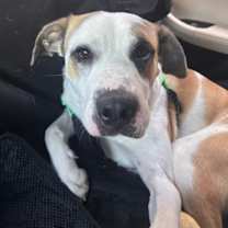 Thumbnail photo of Future #4