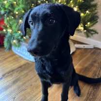 Thumbnail photo of Darby #2