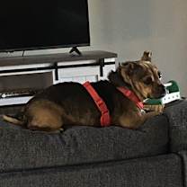 Thumbnail photo of Totes  #2