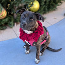 Thumbnail photo of Twix #1