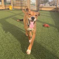 Thumbnail photo of Julie #4