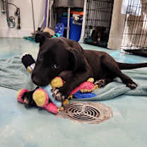 Thumbnail photo of Turkey #3