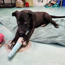 Thumbnail photo of Turkey #4