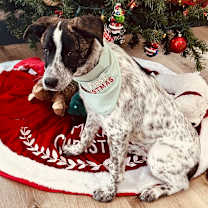 Thumbnail photo of Ranger #1