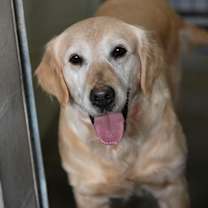 Thumbnail photo of Georgia (D25-113) #1