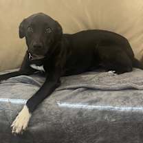 Thumbnail photo of Hope #2