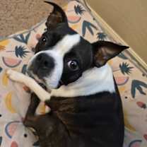 Thumbnail photo of Pokie #2