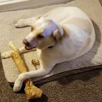 Thumbnail photo of Tank #3