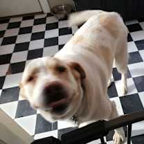 Thumbnail photo of Tank #4