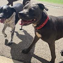 Thumbnail photo of Lyla #2