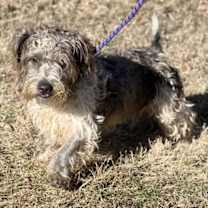 Thumbnail photo of Munchkin #2