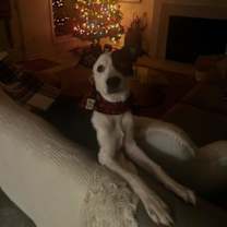 Thumbnail photo of Lucy #2