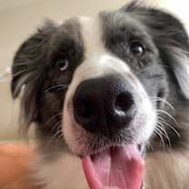 Thumbnail photo of Bear  #2