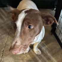 Thumbnail photo of Kira #2