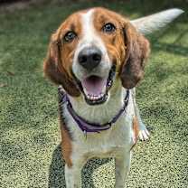 Thumbnail photo of Chip #3