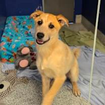 Thumbnail photo of CT Mira #4