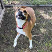 Thumbnail photo of Tobi #4