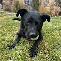 Thumbnail photo of Jett #2