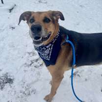 Thumbnail photo of Rascal #2