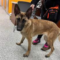 Thumbnail photo of Lucie #2