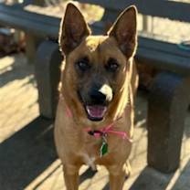 Thumbnail photo of Paris #1