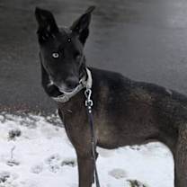 Thumbnail photo of Zena #1