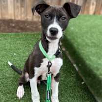 Thumbnail photo of Ivan #2